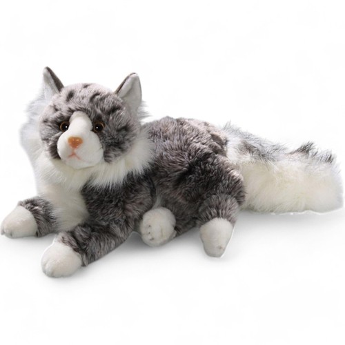 Carl dick chat maine coon - dick,