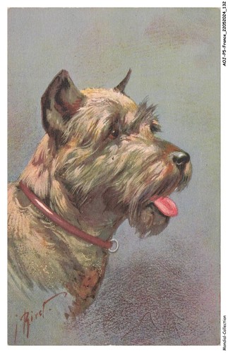 Aojp5 0324 chien riret - aojp5-0324-chien,