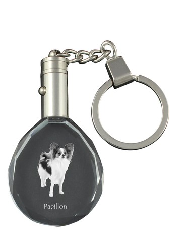 Papillon epagneul nain - epagneul,