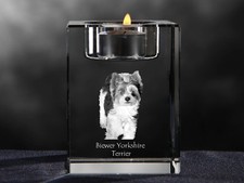 Biewer Terrier, Bougeoir En