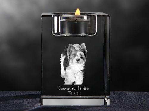 Biewer terrier bougeoir en - terrier,,