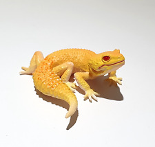 Kaiyodo Capsule Q Gecko Figure Collection LEOPARD GECKO lizard figure