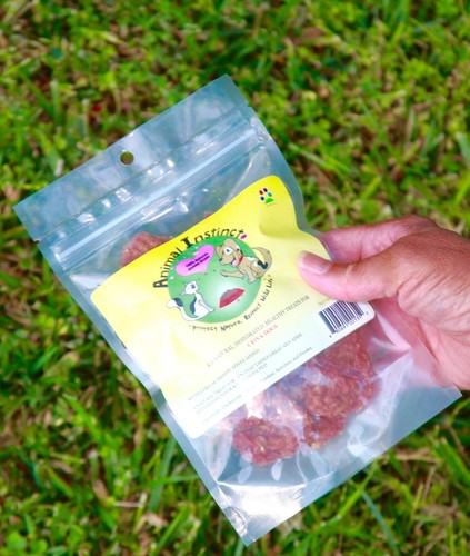 Pet treats animal - pet, treats,