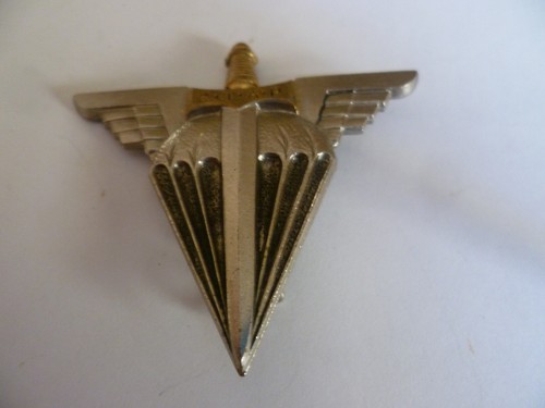 Ancien insigne pucelle - ancien,