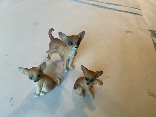 Bone china chihuahua - china, dog