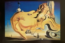 Salvador Dali Grand Masturbateur Poster 24 X 35