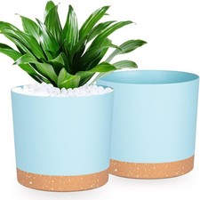 Lot de 2 Pots de Fleurs de