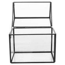 Terrarium Pour Plantes