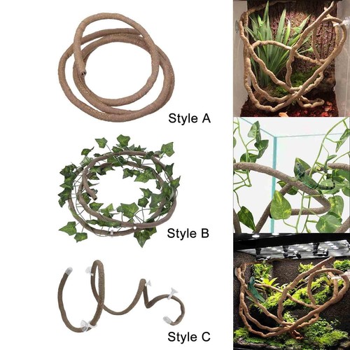 Vignes reptiles pour décor - vignes,