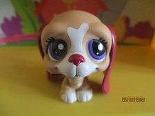 Petshop Chien Basset Hound