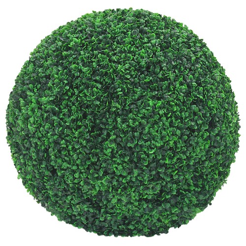 Buis boule plante - buis,