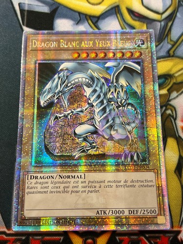 Carte dragon blanc - yu,