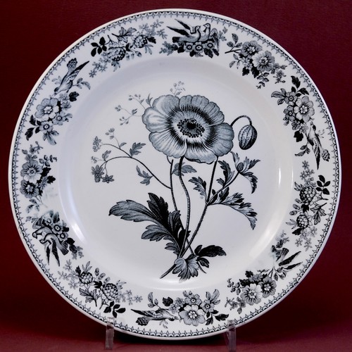 Rare assiette creil faïence - rare,