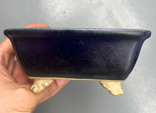 Pot bonsaï japonais lapis - bonsaï,