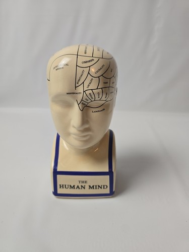 Phrenology head statue - phrenology, of