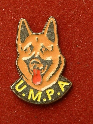 Pin german shepherd dog - shepherd,