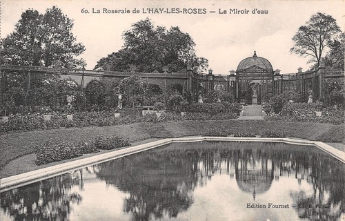 Hay les roses miroir - 94,