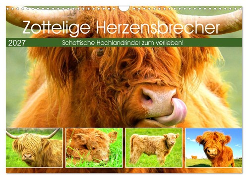 Calendrier 2027 french - ·,