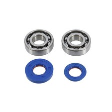 Roulement vilo + jts spi