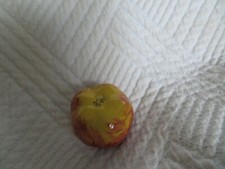 Antique Small Earthenware Apple Malicorn (1)