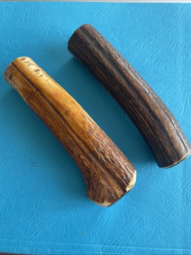Bois cerf pour monter - bois, de
