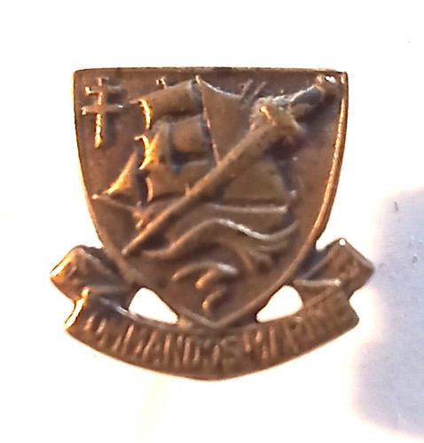 Pin insigne de - insigne,