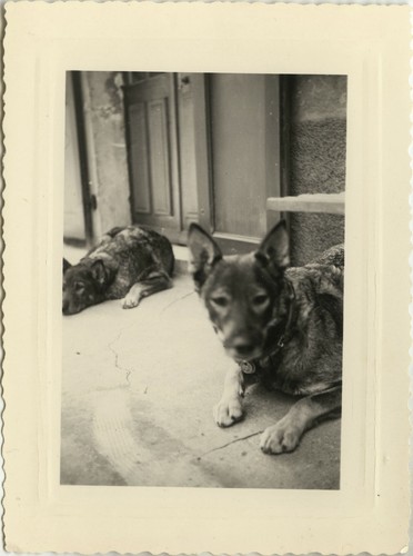 Antique photo vintage - -,