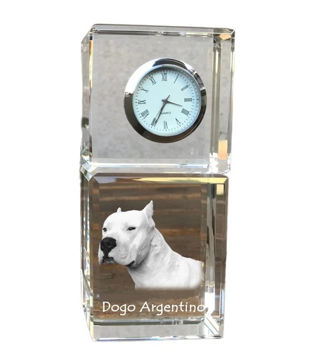 Dogue argentin montre - dogue,