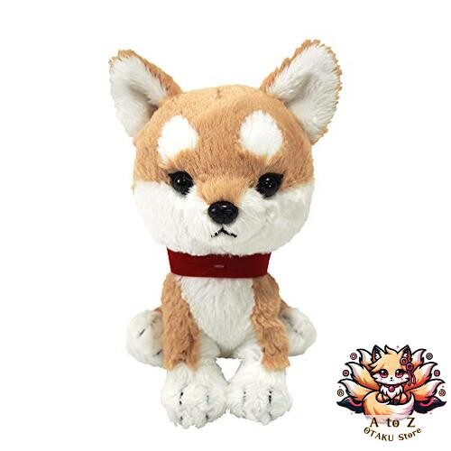 Nouveaux chiots sun - sun,