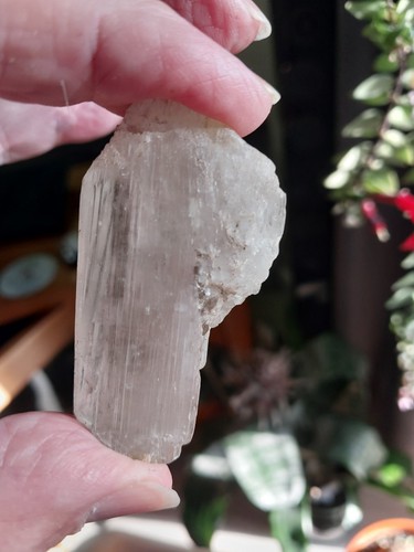 39g kunzite translucide du - kunzite,