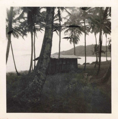 Ancienne photo 1950 guyane - photo, a