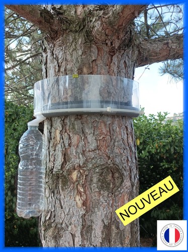 Piège chenilles - à,
