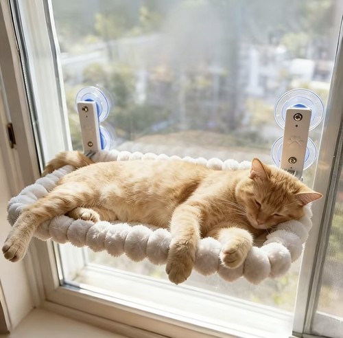 Hamac chat fixable vitre - hamac,