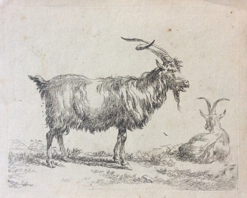 Deux chèvres nicolaes - chèvres, berchem