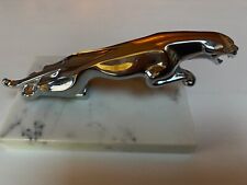 Jaguar Grand chat bondissant