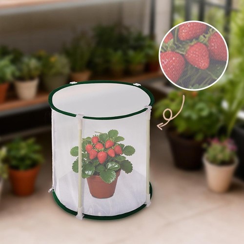 Cage plantes pliable - cage,