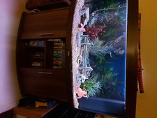 Aquarium panoramique JUWEL 260 litres : bon état avec meuble