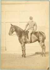 England, Gentleman on Horseback Vintage Albumen Print Silver Print