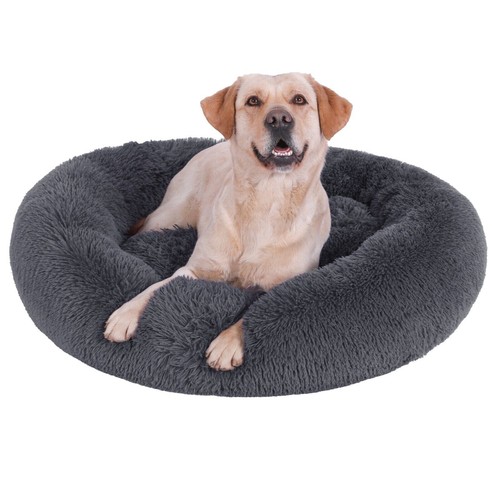 Slpro lit pour - pour, chien
