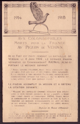 Aux colombophiles morts - cp, "