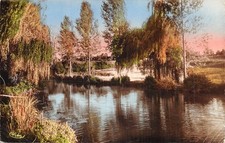 79-LA CRECHE-N�T5196-A/0135