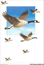 AJGP11-1009 - OISEAUX - OISEAUX DANS LE CIEL