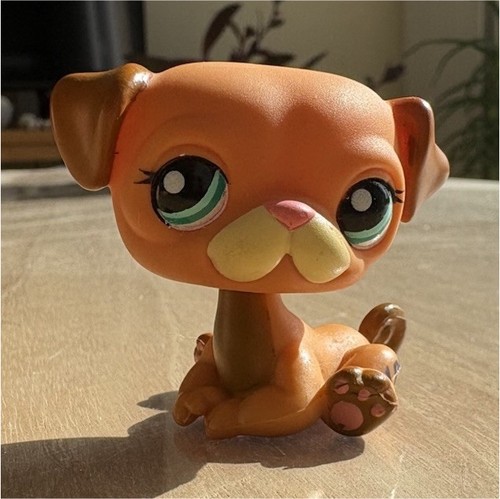 Littlest pet shop - shop, carlin