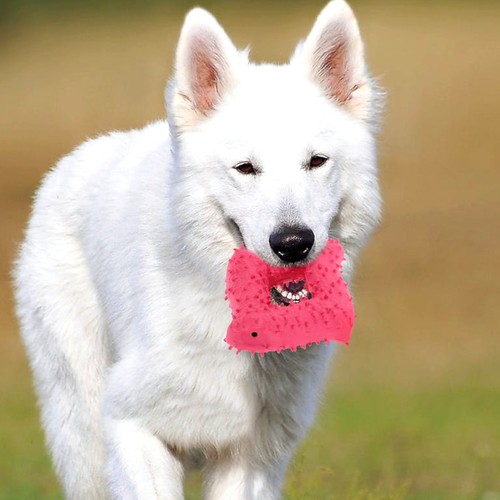 Jouet interactif pour chien - interactif,