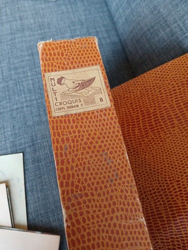 Anciens tampons scolaires - ,