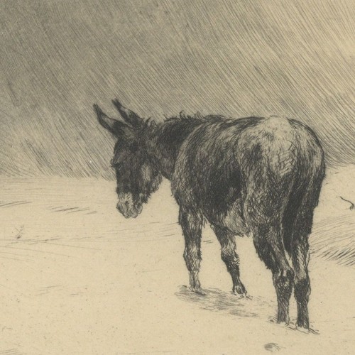 John mac whirter - whirter, Âne