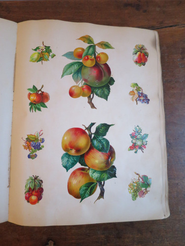 Chromos découpis fruits - découpis,