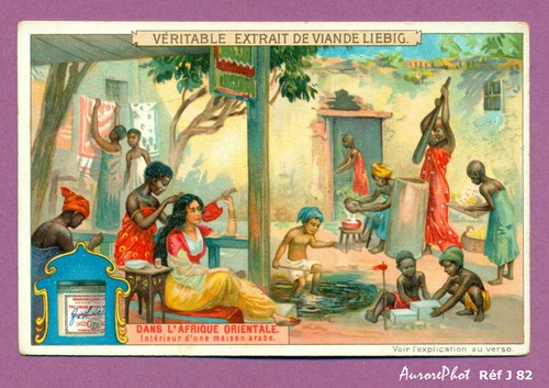Chromo pub liebig afrique - pub,