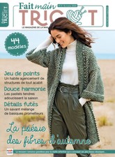 FAIT MAIN TRICOT 31 LA POESIE DES FIBRES D'AUTOMNE 44 MODELES