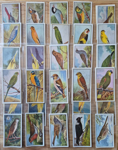Hyde ltd cage birds - &,